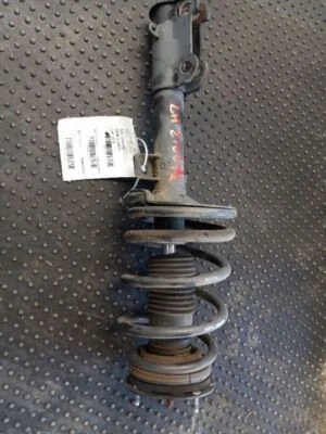 Strut Front Coupe 17" Wheel Base V6 05-09 Ford Mustang 7R3Z18124A  Foto 1 de 4