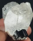 255 Ct Scroll Tourmaline With Quartz Specimen From Afghanistan