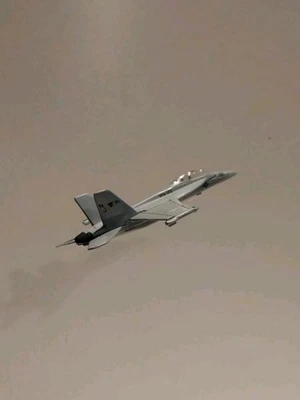 Maisto F-18 Super Hornet VFA-122 "Entrenamos a los expertos" 102 Foto 1 de 4