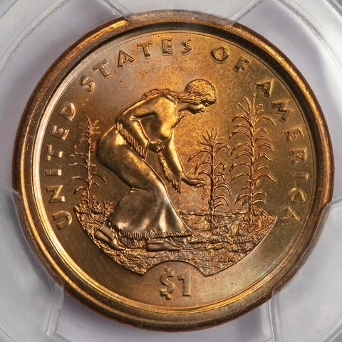 2009 PCGS MS64 Double Struck Native American Sacagawea Dollar Mint Error Wow! Cover