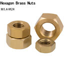 Solid Brass Hex Nut Hexagon Nuts M1.4 M2 M3 M4 M5 M6 M8 M10 M12m14m16 M20m22 M24
