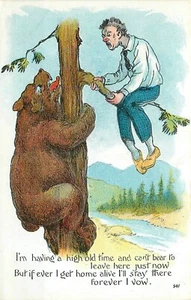 c1910 man bear up tree comic humor artist impression postcard 25-4080 - Picture 1 of 2