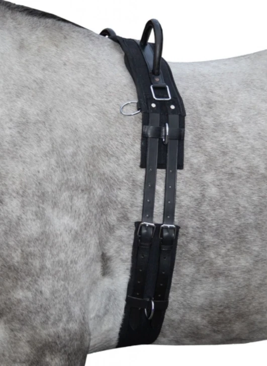 HKM Longiergurt mit 2 Griffen ideal für Bodenarbeit Kinderreiten Holzpferd - Bild 1 von 2