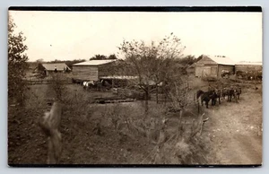 Postcard Unidentified RPPC, Farm Barn, Donkeys, Horses, People Beyond Barn - Bild 1 von 2