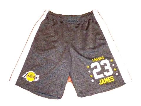 LA Lakers #23 LeBron James NBA Basketball Shorts Men's Size XL Cover