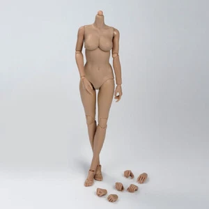 1/6 Middle Chest Suntan Skin Female 12'' Flexible Body Action Figure Model Toy - Picture 1 of 7