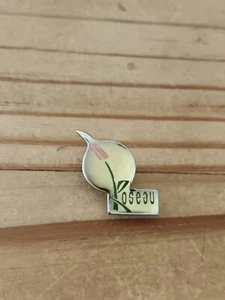 Pin's Pins Pin Enamel 30 Association Aide Enfants Cancer Leucémie Reims"Roseau" - Picture 1 of 2