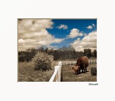 Brown Blue Highland Cow Country Farmhouse Matted Wall Art Picture (Handmade)
