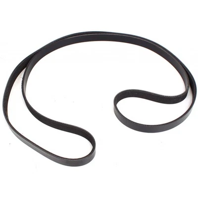 For Ram ProMaster 1500/2500/3500 Drive Belt 2014 2015 Main Drive Serpentine Belt Foto 1 de 4