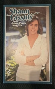Vintage 1978 Shaun Cassidy Jigsaw Puzzle 200 Pieces 11x17 Universal City Studios - Picture 1 of 10