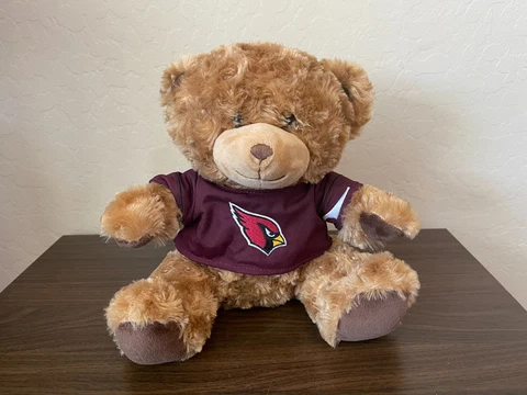 Arizona Cardinals NFL FOOTBALL SUPER AWESOME 10" Teddy Bear Cuddle Toy Plush! Cover