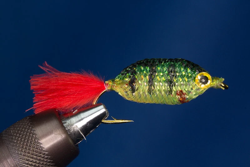 Fischchen Barsch - Bild 1 von 1