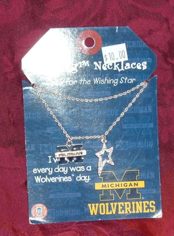 UNIVERSITY OF MICHIGAN WOLVERINES  WISHING JEWELRY ANYWHERE CHARMS NEW Cover