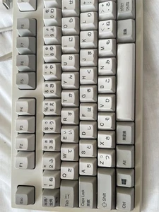 Topre Realforce R2TLSA-JP3-IV Japanese Keyboard USB Wired Ivory 91 Keys - Picture 1 of 6