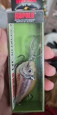 Rapala DT10 SML Fundido (Color Europeo) Foto 1 de 3