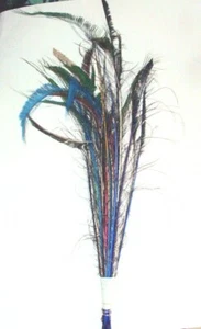 25 beschädigte Pfauenschwertfedern gemischte Farbtypen 30-35" Fliegenbindegruppe #3 - Bild 1 von 1