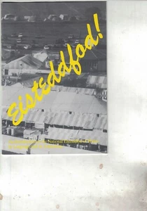eisteddfod! an introduction 1991 - Picture 1 of 1