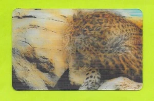 Carte Cora / Match - N°28/44 - Jaguar - Picture 1 of 2
