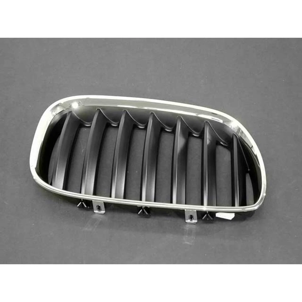 51-13-7-113-734 Rejilla Original BMW Pasajero Lado Derecho para Serie E53 X5 Foto 1 de 1