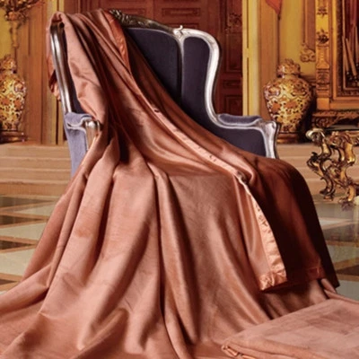 Mulberry Silk Blanket Throws Velvet Bed Cover Spring Autumn Blankets Queen King - Image 1 of 4