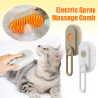 Cat Steam Brush Steamy Dog Brush 3 in 1 Electric Spray Cat Hair Brushes for Mass