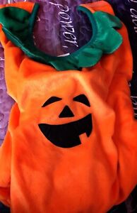 dog pumpkin halloween costume