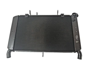 Brand New, in OEM Box Yamaha Factory Radiator 1RC-12461-00-00 OEM NEW - Picture 1 of 6