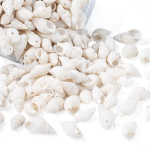 300pcs Trumpet Shell Beads Spiral Shell Seashell Dyed White 19~21mm - Picture 1 of 6