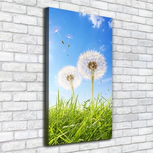 Leinwand-Bild Kunstdruck Hochformat 50x100 Bilder Löwenzahn Wiese - Bild 1 von 6