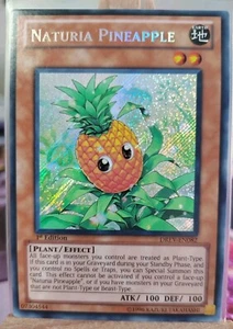 NATURIA PINEAPPLE - DREV-EN082 Secret Rare / 1st Edition Near Mint - Bild 1 von 5