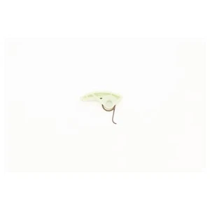 Chain Tensioner,Fits,CT-15-1888,FOC-121,FOC-140Z,FOT-121N,FOT-140D,Mazda-140D - Picture 1 of 1