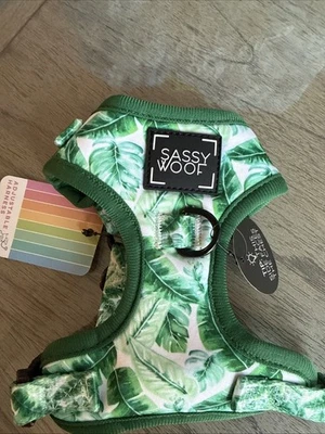 Arnés para perro con 2 anillos en D talla XXS Sassy Woof hojas de palmera tema Foto 1 de 3