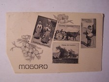 1410/439) Mogoro (Cagliari) -Sardegna -Cartolina d'Epoca Fp