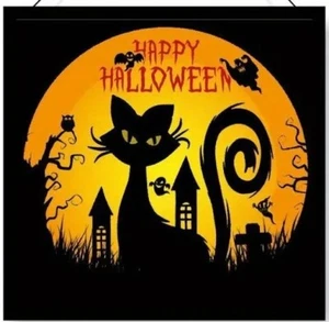 5D Diamant Malset 20X20cm Happy Halloween schwarze Katze mit Geistern & Eule - Bild 1 von 1