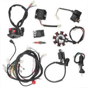 Arnés de cableado eléctrico telar de cables para ATV QUAD CG150/200/250/300CC estator CDI - Imagen 1 de 12