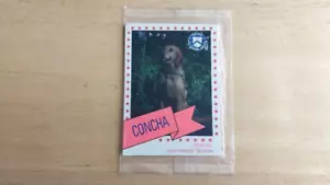 1995 Canine Enforcement US Customs Pack of Cards Southwest Region Hidalgo Dogs C - Bild 1 von 3