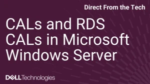 50x Microsoft Windows Server 2019/2022/2025 Datacenter + CALs + RDS | Physical - Picture 1 of 13