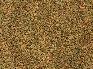 AQUARIUM CHERRY, CRYSTAL RED SHRIMP SNAIL FOOD BLUE TIGER SHRIMP FOOD, SPIRULINA - Picture 1 of 4
