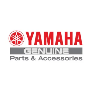 Yamaha OEM Genuine WR250F 2016 CDI ECU Engine Control Unit 2GB-8591A-00-00 - Picture 1 of 1