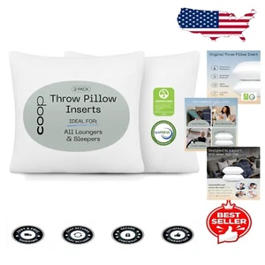 2 Stylish 18x18 Couch Pillows - Breathable Microfiber for Comfort & Style - Picture 1 of 9