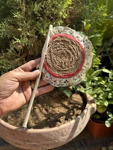 1900’s Old Jute Lace Hand Crafed Ancient Indian Hand Fan - Picture 1 of 9