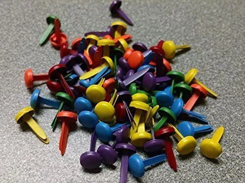 Brads Primary Recollection - Talla mini Foto 1 de 1