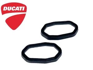 COPPIA GUARNIZIONI SUPPORTO MOBILE ORIGINALE DUCATI MULTISTRADA 620 - 1000 -1100 - Imagen 1 de 7