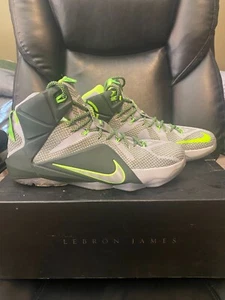 Nike Lebron XII Dunkman 2014 Sz 11 684593-011 Grey Green Silver Black - Picture 1 of 7
