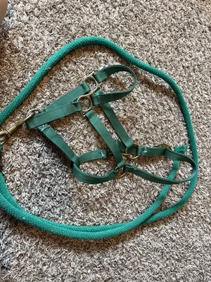 Caballo de nailon halter y cuerda de plomo caballo completo Foto 1 de 4