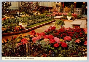 Como Conservatory, St Paul, Minnesota, Chrome Postcard, NOS - Bild 1 von 2