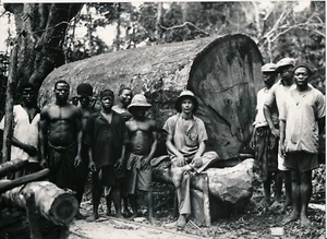 GABON c. 1935 - Exploitation Bois Okoumé Colon Indigènes - NV 2840 - Picture 1 of 2