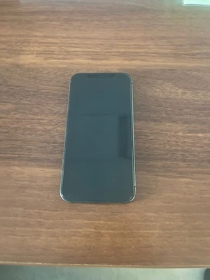 Apple iPhone 12 Pro - 256GB - Grafite (Sbloccato) - Immagine 1 di 4