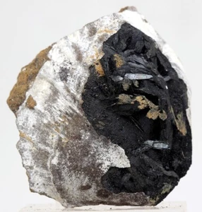 VIVIANITE CLAM FOSSIL Crystal Mineral Specimen Sea Life Natural CRIMEA UKRAINE - Picture 1 of 4
