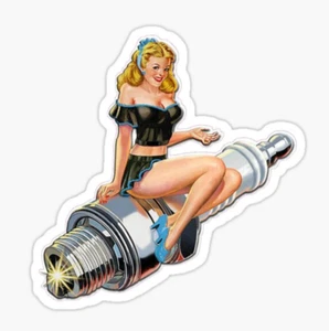 JDM Vinyl Sticker Decal For Water Bottle Laptop Car - Picture 1 of 1